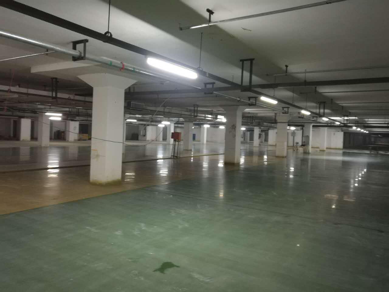 06.jpg